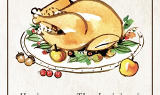 感恩节为什么吃火鸡 西方国家,火鸡是哪个节日吃的,感恩节还是圣诞节